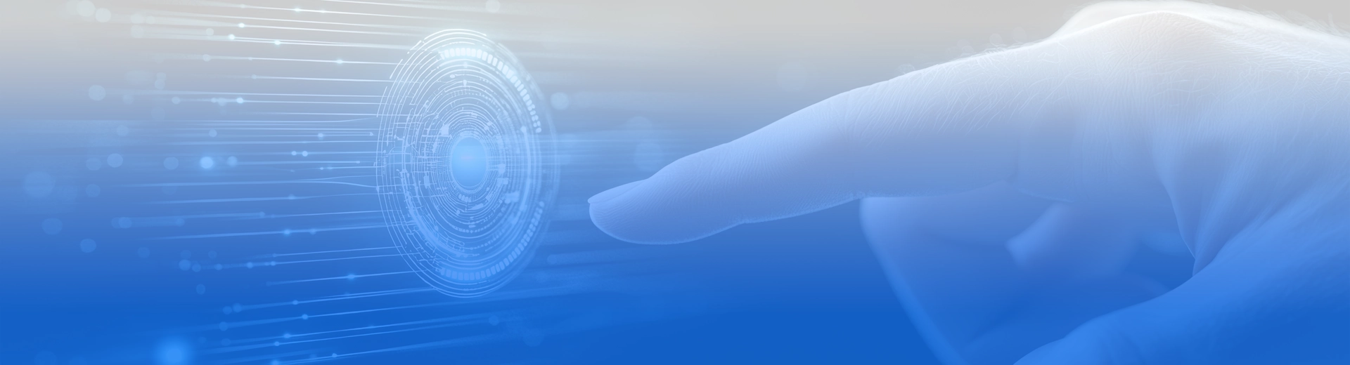 Warranty and Returns Terms